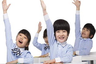 晨樹(shù)教育加盟優(yōu)勢(shì)